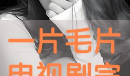 毛片视频在线观看,在线观看背后的真相与风险